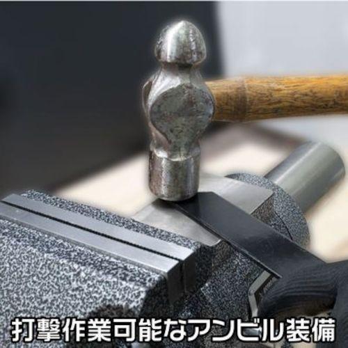 アストロプロダクツ マルチベンチバイス 125mm BV790 (1個) 2003000007909_4