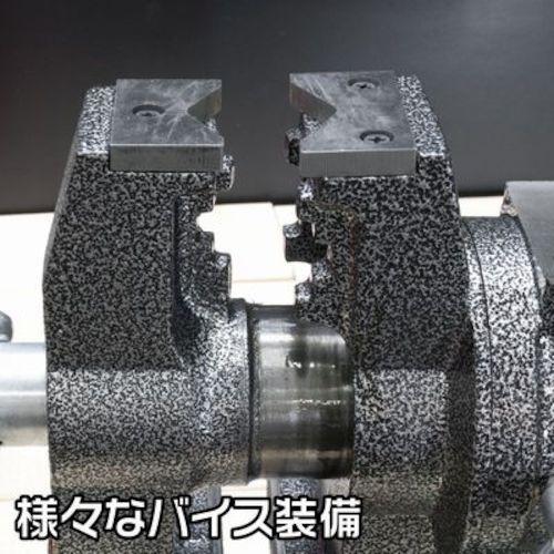 アストロプロダクツ マルチベンチバイス 125mm BV790 (1個) 2003000007909_6