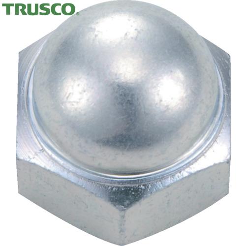 TRUSCO(トラスコ) 袋ナット　三価白　サイズＭ６×１．０　３２個入　（1Ｐｋ） B739-0006