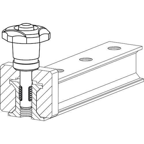 HALDER ハルダー ネジ山クランプ式ロックピン ステンレスピンタイプ (1個) 品番：22355.1206