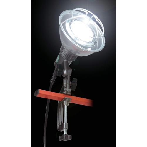 ハタヤ LED作業灯 20WLEDランプ付 (1台) 品番：RGL-5