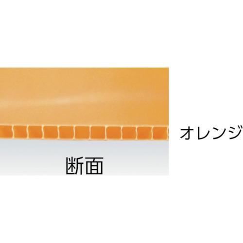 アイリスオーヤマ 567086 プラダン 910X600X4 ブラック (5枚) 品番：PD-964-BK｜kougulandplus｜03