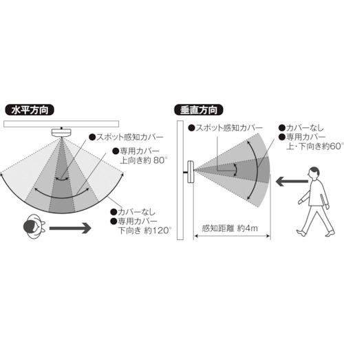 大一産業 おしゃべりNAVI3 (1個) 品番：29030038｜kougulandplus｜03