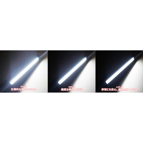 日平機器 HLED-20C2 エボリューションライト 2m充電コード付 (1台)_5