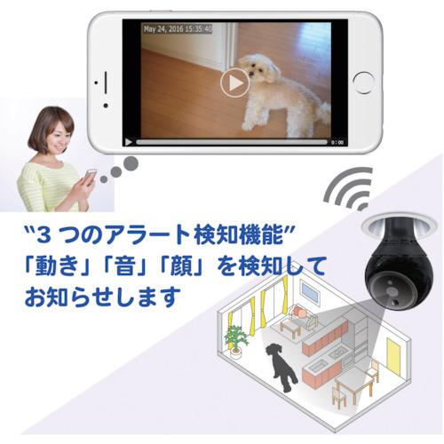 PlugInCam PIC-360 360度自動追尾カメラ PlugInCam ROBOT 210×100 (1台)_1