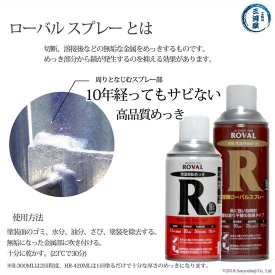 ローバル ( ROVAL ) 常温 亜鉛めっき スプレー スプレー R-300ML 強力