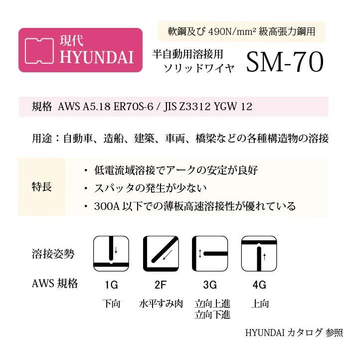 現代 ( HYUNDAI ) 半自動溶接ワイヤ SM-70 SM70 ) 低電流 薄板 用 ベトナム 製 φ 1.2mm 20kg巻 : 工具 ...
