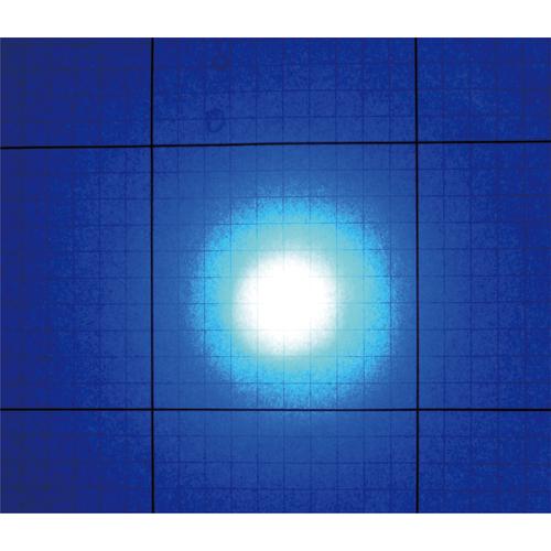 Ｈｙｄｒａｎｇｅａ　ブラックライト　高出力（ノーマル照射）タイプ　乾電池タイプ　ピーク波長３７５ｎｍ 【高品質】 UV-SVGNC375-01