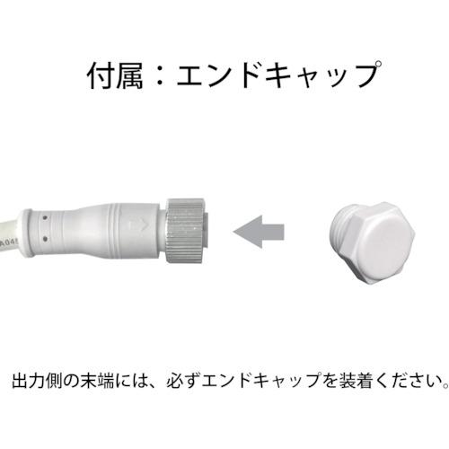 ｔｌｉｇｈｔ ＬＥＤチューブストリング シャンパンゴールド Ｌ５０００ NTCD1-165-30P/2の画像