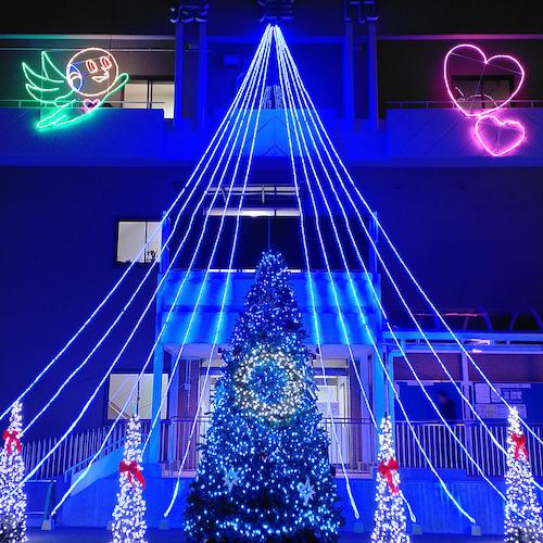 ｔｌｉｇｈｔ ＬＥＤチューブストリング ホワイト Ｌ５０００ NTCW1-165-30P/2の画像