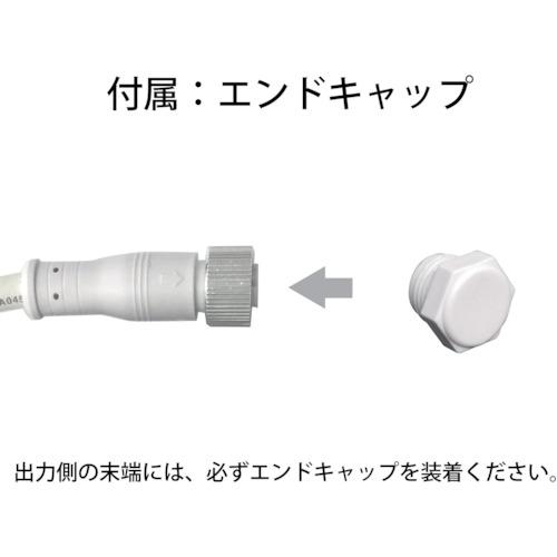 トライト　ＬＥＤチューブストリング　シャンパンゴールド　Ｌ１０００ NTCD1-33-30P/2｜kougurakuichi｜07