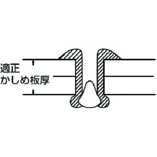 エビ　ブラインドリベット（ステンレス／ステンレス製）　４−２（４５本入）　エコパック NST42MP｜kougurakuichi｜05