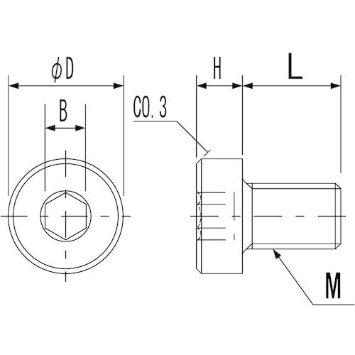 ケミカルスクリュー　六角穴付低頭ボルト　（ガラス繊維強化ポリアミド　LC　M4-8≪お取寄商品≫　ＲＥＮＹ・全ねじ）　Ｍ４−８　RENY-BK
