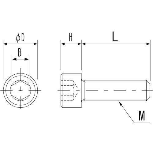 ケミカルスクリュー　ポリエーテルエーテルケトン　六角穴付ボルト　Ｍ５−８　（１００個入）　PEEK　CB　M5-8≪お取寄商品≫