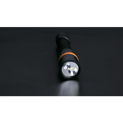 fenix（GARMIN） FENIX 【売切廃番】LEDライト SD20≪在庫限り