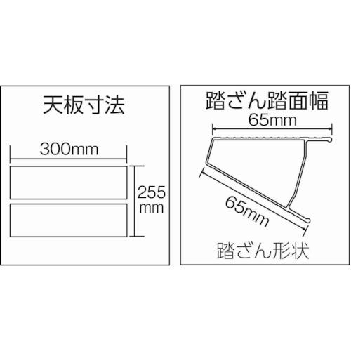 TRUSCO(トラスコ)　はしご兼用脚立　アルミ合金製脚カバー付　高さ１．６９ｍ TPRK-180≪L≫_3