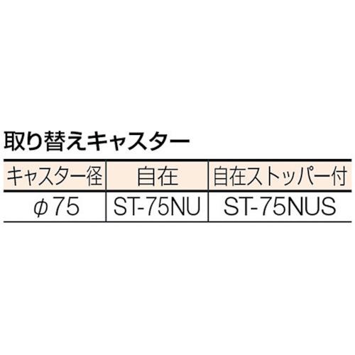 TRUSCO(トラスコ)　コンビネーションワゴン　６４３Ｘ４２７ＸＨ８８０　２段引出付　TCW-81B1