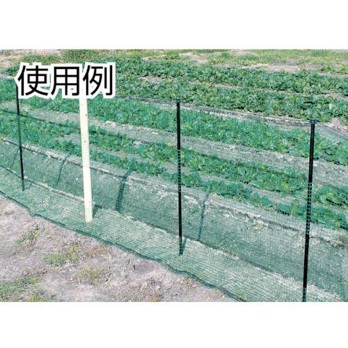 ワイドクロス 防護ネット アニマルネットホールタイプ（杭付セット） 幅１ｍ×長さ２０ｍ 目合１６ｍｍ HGR-161020の画像