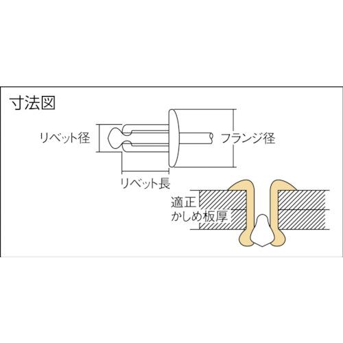 TRUSCO(トラスコ)　ブラインドリベット（ＳＵＳ／ＳＵＳ）　３&minus;２　　（５００本入） SS-32C