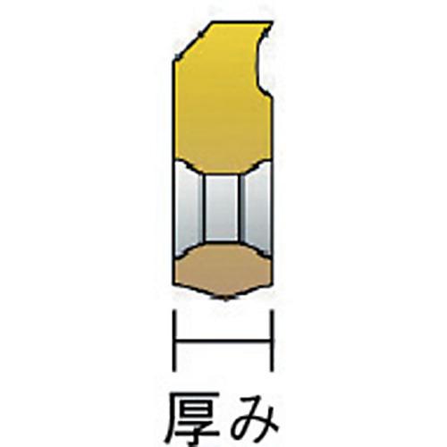 ＮＯＧＡ　ミルスレッドＢＳＰＴねじ用チップ 12-19BSPT MT-7｜kougurakuichi｜02