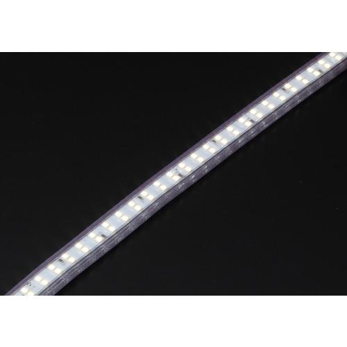 ハタヤ ＬＥＤテープライト両面発光タイプ（２０ｍ）単体（テープライトのみ） LTP-20Dの画像