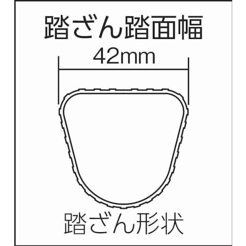 ピカコーポレイション PiCa 2連はしごスーパーコスモス2CSM型 
