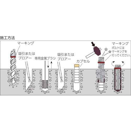 ＤＥＣＯＬＵＸＥ　ケミカルアンカー　ＰＧタイプ（打込み方式） PG-13N｜kougurakuichi｜02