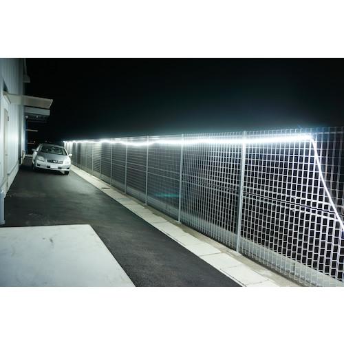 ハタヤ ＬＥＤテープライト両面発光タイプ（２．５ｍ単体） LTP-025Dの画像
