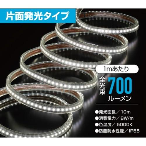 ハタヤ ＬＥＤテープライトＲ片面 RLTP-10の画像