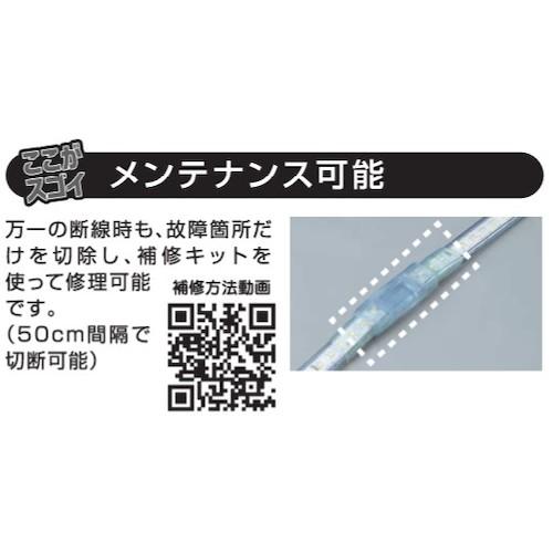 ハタヤ ＬＥＤテープライトＲ片面 RLTP-10の画像