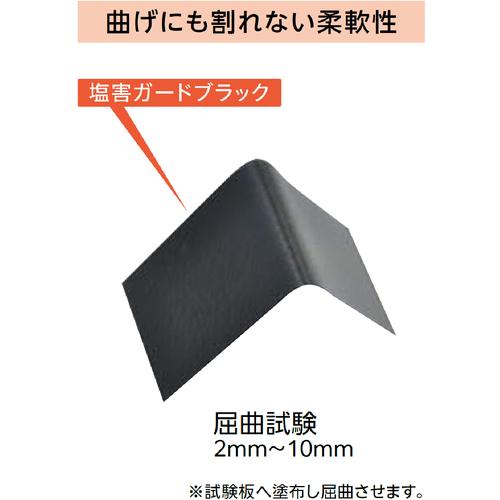 イチネンケミカルズ 塩害ガード 黒 15kg 000492 : 工具の楽市 