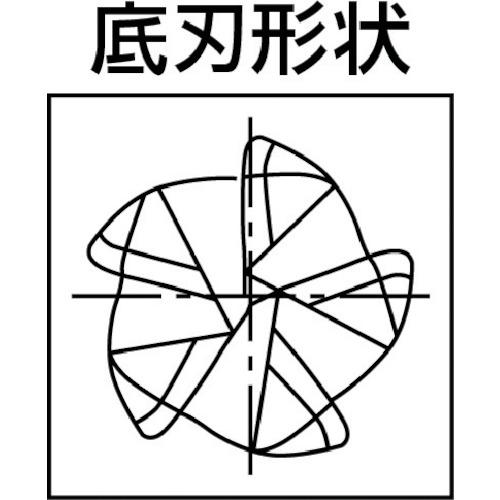 ＯＳＧ　ＦＸコート　５刃　チタン合金加工用不等　８５５５３２４　UVX-TI-5FL　ＵＶＸ‐ＴＩ‐　12XR2.5X36