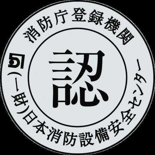 緑十字　中輝度蓄光避難誘導ステッカー標識　非常口→　ＴＳＮ８０１　１２０×３６０　消防認定品 068001｜kougurakuichi｜04