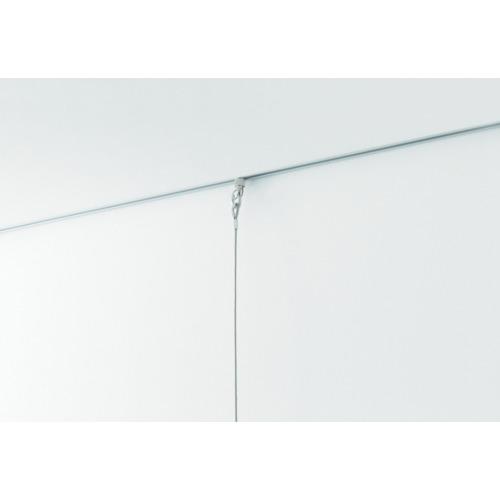 ＴＯＳＯ　ピクチヤ−　Ｇ２　ナチユラル　３Ｍ PG2-3000N≪在庫限り≫≪L≫_1