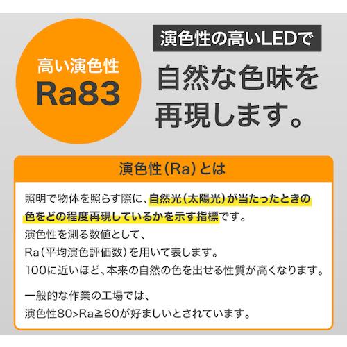 ＩＲＩＳ　５６８６６４　ＰＲＯＬＥＤＳ　ＬＥＤ電球投光器用５５００ｌｍ LDR45D-H-E39_2