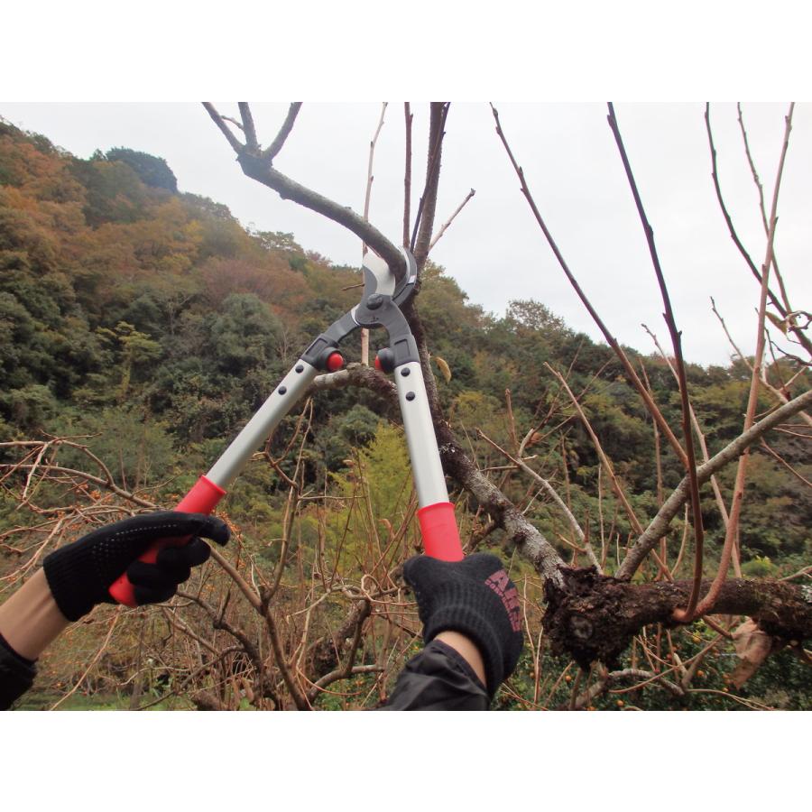 アルス LPB-30S 太枝切鋏ロッパー S LPB-30S≪お取寄商品≫ : 工具の