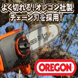 YARD FORCE（ヤードフォース） YARDFORCE LSC17-JP コードレス24V高枝