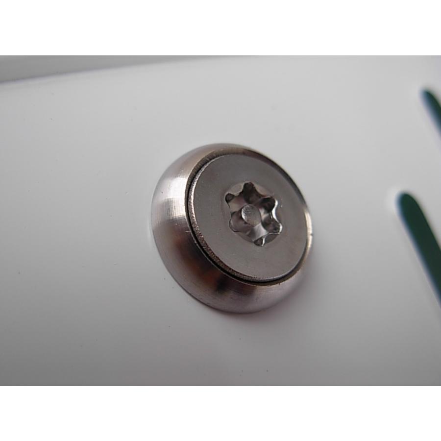 L型工具付 盗難防止ネジ 2本セット ローゼット ステンレス トルクス