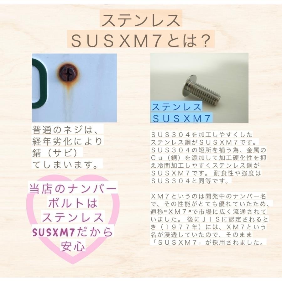 L型工具付 盗難防止ネジ 2本セット ローゼット ステンレス トルクス