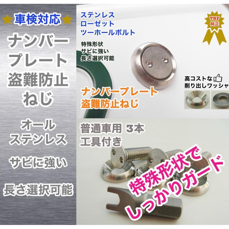 盗難防止ネジ 工具付 3本セット ローゼットワッシャー付 ステンレス ツーホール ボルト ナンバーねじ 華麗