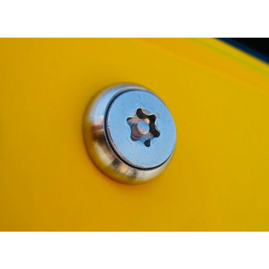 盗難防止ネジ 4本セット ローゼット ステンレス トルクス ボルト