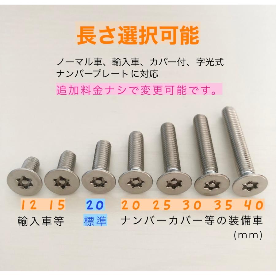 盗難防止ネジ ローゼットワッシャー付 ステンレス トルクス ボルト 長