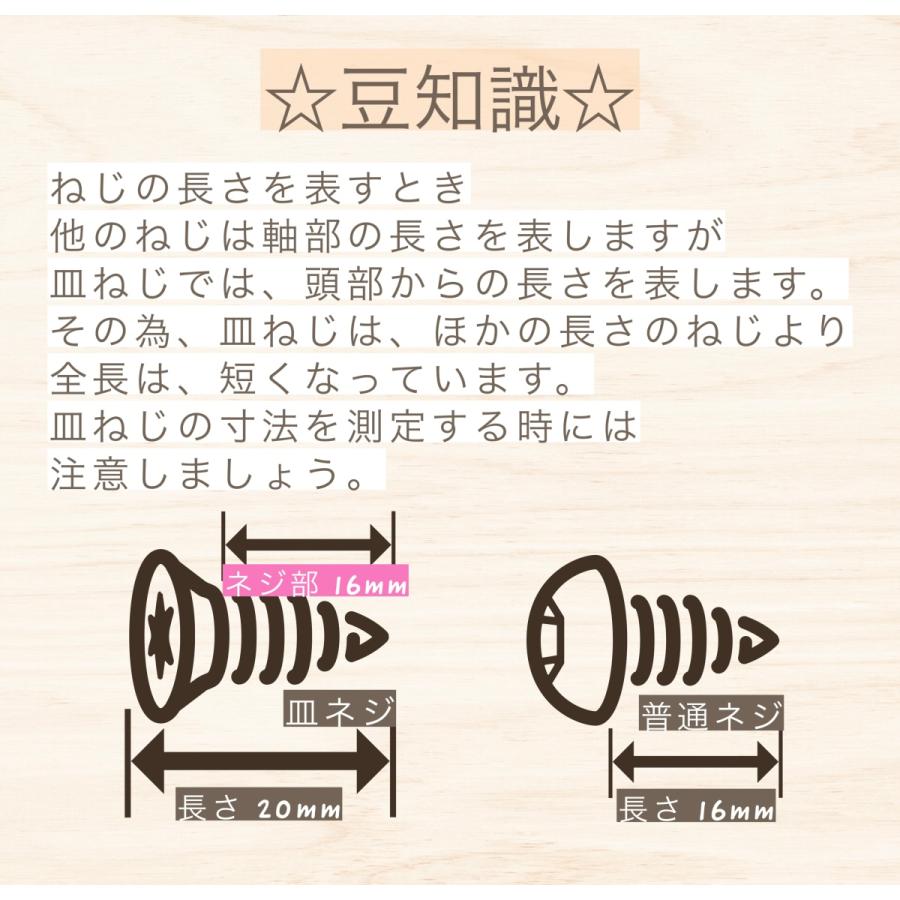 盗難防止ネジ ローゼットワッシャー付 ステンレス トルクス ボルト 長