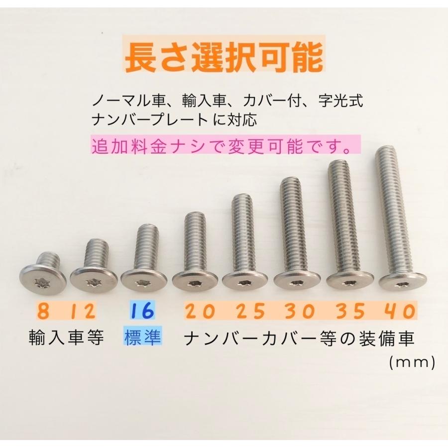 L型工具付 盗難防止ネジ 二輪車のナンバープレートねじ交換用 2本セット ステンレス トルクス スリムヘッド ボルト 低頭 フラット 長さ 8〜40mm |  | 03