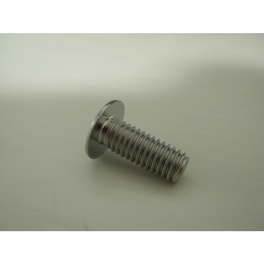 工具付 盗難防止ネジ 二輪車のナンバープレートねじ交換用 2本セット