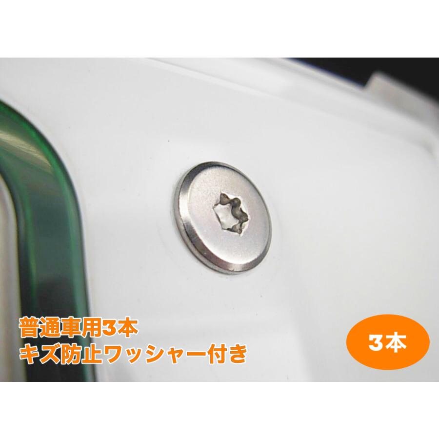 キズ防止ワッシャー付 盗難防止ネジ 3本セット ステンレス トルクス