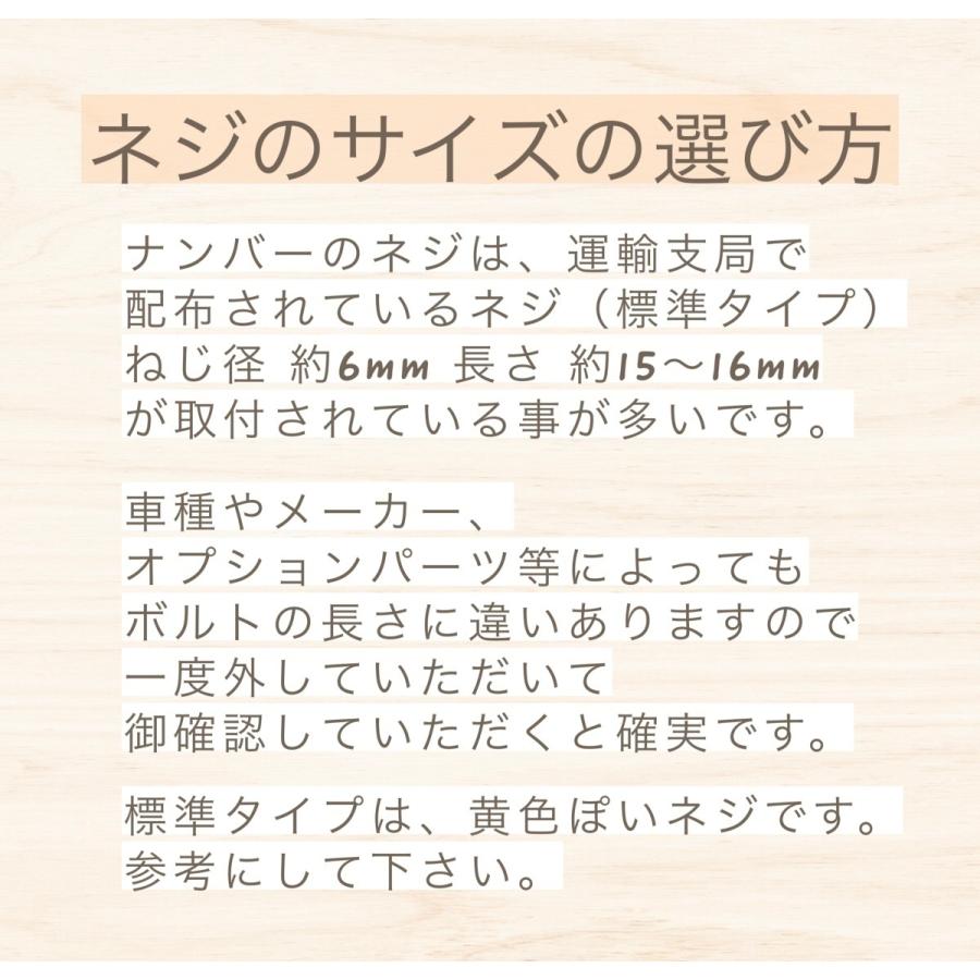 キズ防止ワッシャー付 盗難防止ネジ 3本セット ステンレス トルクス スリムヘッド ボルト 低頭 フラット ナンバープレートねじ交換用 普通車｜kougutonejiny｜06