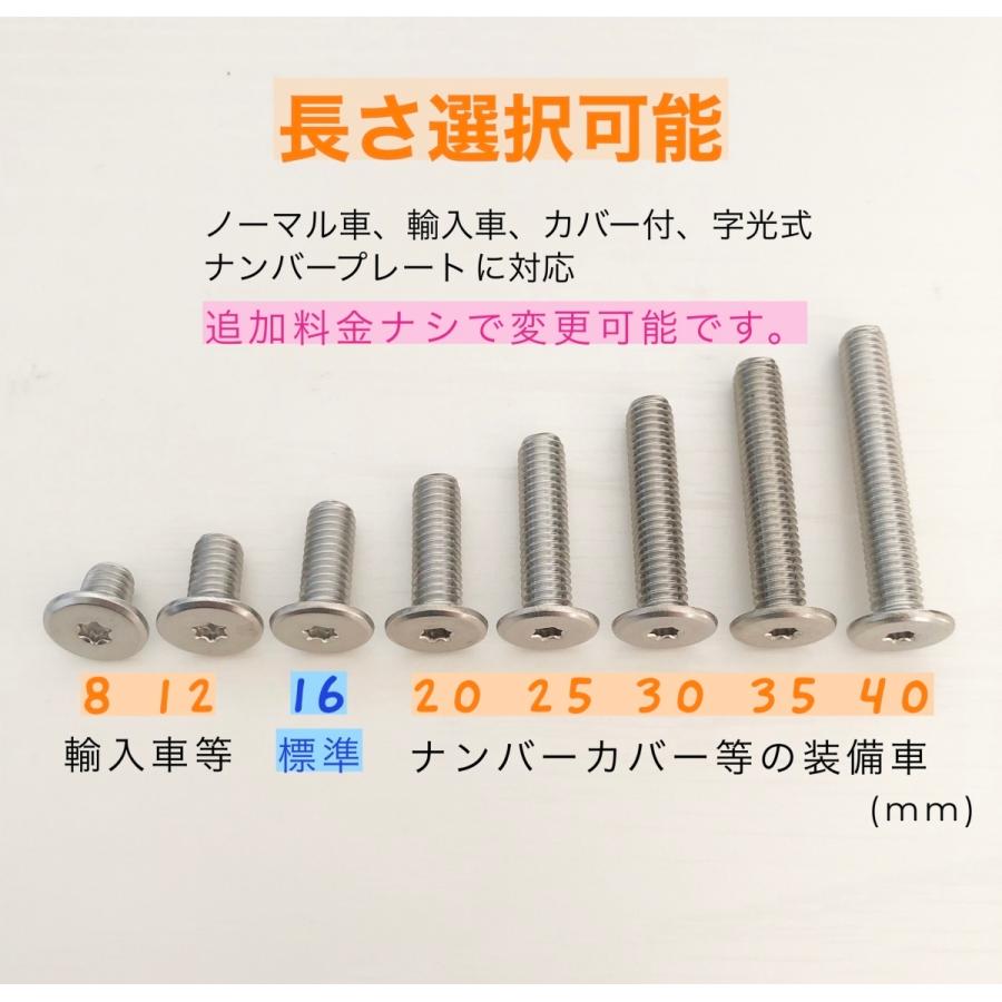 盗難防止ネジ 4本セット ステンレス トルクス スリムヘッド ボルト