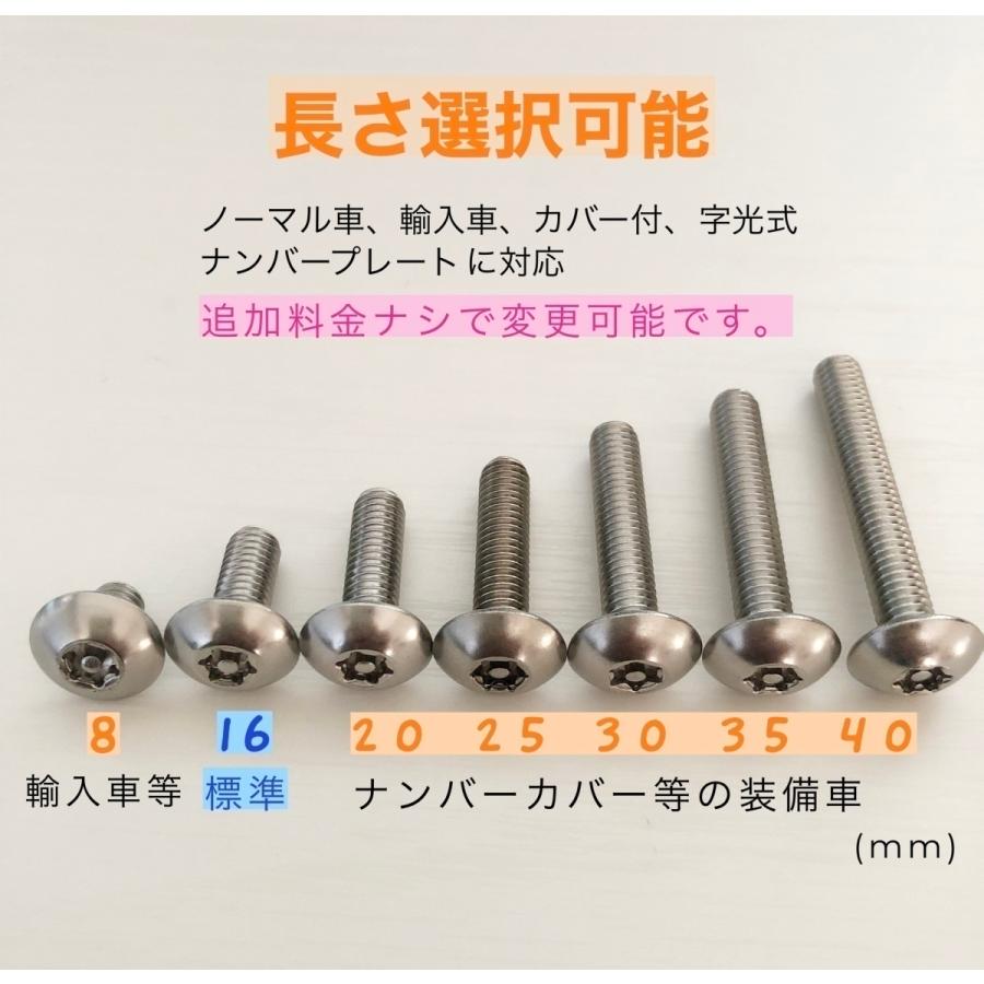 L型工具付 二輪車のナンバープレートねじ交換用 2本セット