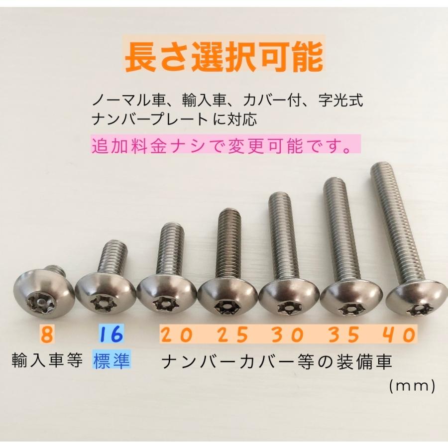 工具付 普通車のナンバープレートねじ交換用 盗難防止ネジ 3本セット